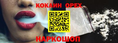 крисы Новозыбков
