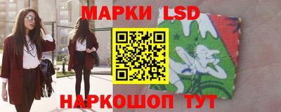 крисы Новозыбков