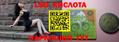 крисы Новозыбков