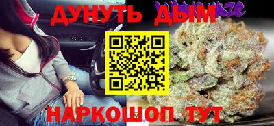 крисы Новозыбков