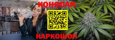 крисы Новозыбков