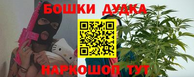 крисы Новозыбков