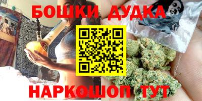 крисы Новозыбков