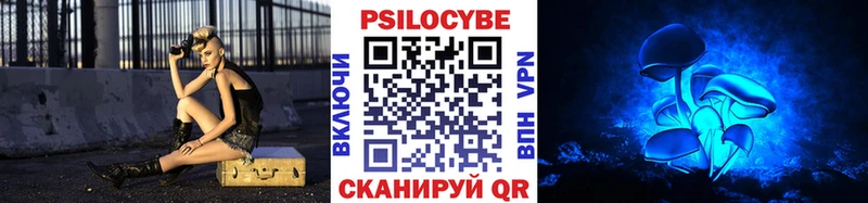 ссылка на мегу ссылка  Тверь  Галлюциногенные грибы Cubensis 