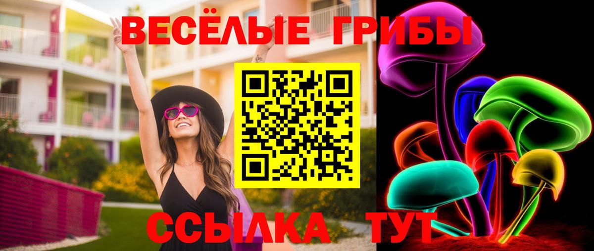 Галлюциногенные грибы мицелий  Псилоцибиновые грибы MAGIC MUSHROOMS  Тверь  продажа наркотиков  Вход с VPN 